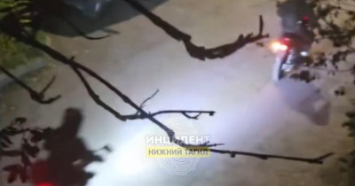 В Нижнем Тагиле подростки на питбайках пытались задавить собаку и брызнули из перцового баллончика в её пожилую хозяйку