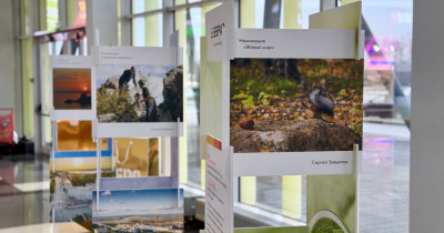 В Нижнем Тагиле открыли выставку лучших снимков конкурса «Зелёный Урал»