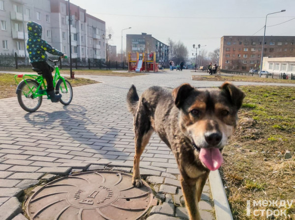 Весна в суровом городе. Атмосферный фоторепортаж из разных уголков Нижнего Тагила