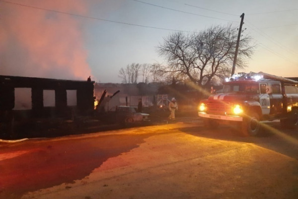 В пожаре под Нижним Тагилом погибли пятеро детей