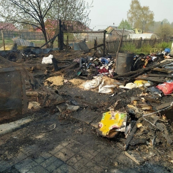 При пожаре в частном приюте в Билимбае погибло более 30 собак 