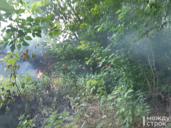 Пожар в районе парка «Народный» из-за тополиного пуха едва не спалил гаражи (ВИДЕО)