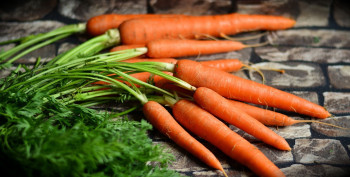 Средняя стоимость моркови в Свердловской области превысила 100 рублей за килограмм