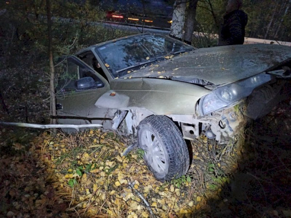 Под Екатеринбургом водитель сбил лося и врезался в деревья