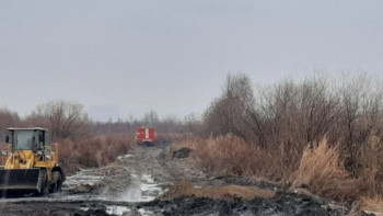 Под Екатеринбургом потушили торфяной пожар, из-за которого город накрывало смогом