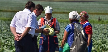 ​​​​​​​Свердловские власти выделят 320 млн рублей на поддержку фермеров после засухи