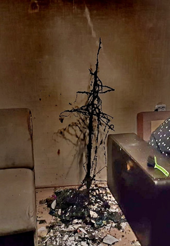 В одной из квартир Нижнего Тагила вспыхнула новогодняя ёлка