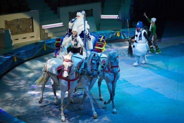 «Кипиш, Ёлка, Новый год!». Уникальную сказку покажут в Нижнетагильском цирке в новогодние каникулы 