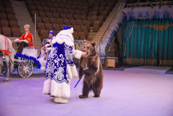 В Нижнетагильском цирке в канун Нового года прошёл корпоратив для животных  