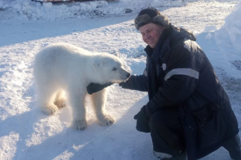 Вахтовик из Нижнего Тагила спас белого медвежонка от голода