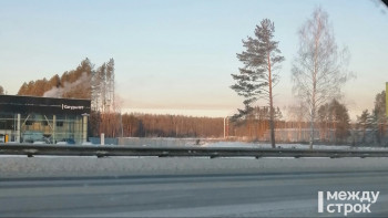 В Нижнем Тагиле на Свердловском шоссе вырубят более 3 тысяч квадратных метров леса для строительства торгового центра 