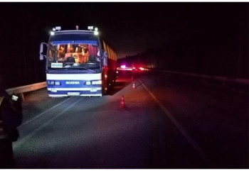 Под Нижним Тагилом на Серовском тракте пассажирский автобус насмерть сбил пешехода 
