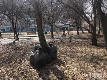 МинЖКХ поручило свердловским мэрам убрать зимний мусор с городских улиц и дворов до 1 мая 