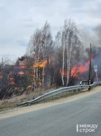 В Свердловской области потушены все лесные пожары