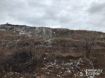 В Нижнем Тагиле ищут компанию, которая за 10 млн рублей разработает документацию для ликвидации шламонакопителя токсичных отходов на Кушвинском полигоне