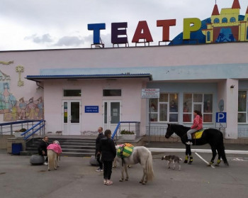 Мэр Нижнего Тагила Владислав Пинаев объявил войну нелегальным лошадникам