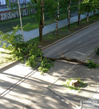 В Нижнем Тагиле упавшее дерево перегородило дорогу на улице Первомайской
