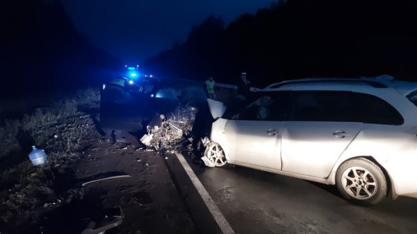 Под Нижним Тагилом иномарка насмерть сбила лося