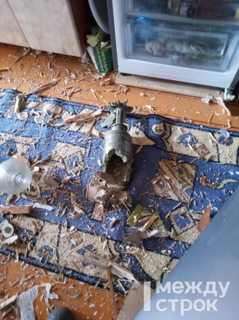 В Нижнем Тагиле с полигона «Уралвагонзавода» танковый снаряд попал в дачный дом  (ВИДЕО)