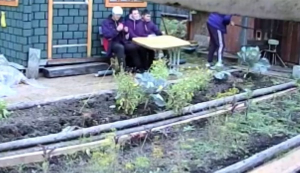 Полиция Нижнего Тагила разыскивает банду садовых воришек