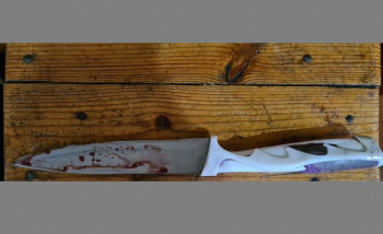 В Нижнем Тагиле мужчина в свой день рождения из-за ревности убил возлюбленную кухонным ножом