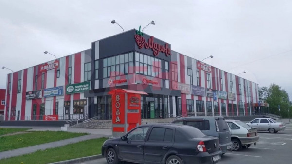 В Нижнем Тагиле выставили на продажу ТЦ «Малина» 