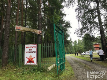 В России упростят правила приготовления шашлыка на загородных участках
