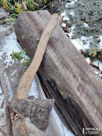 Жители Нижнего Тагила обеспокоены вырубкой леса в садах в районе Горзеленхоза (ВИДЕО)