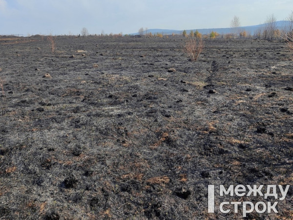 В Свердловской области горит более 33 тысяч гектаров леса, эвакуировано почти 1300 человек 