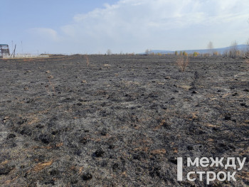 В Свердловской области 21 мая пожарные потушили 3,9 тысячи гектаров леса 