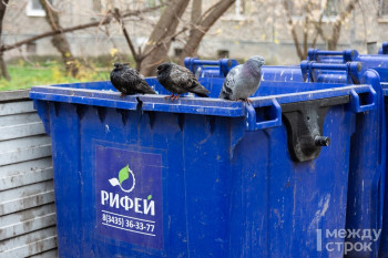 Региональная энергетическая комиссия утвердила повышение тарифа на вывоз мусора для Нижнего Тагила и севера Свердловской области с лета 2024 года