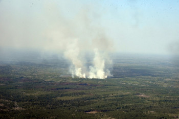 В Свердловской области площадь лесных пожаров за сутки увеличилась в полтора раза