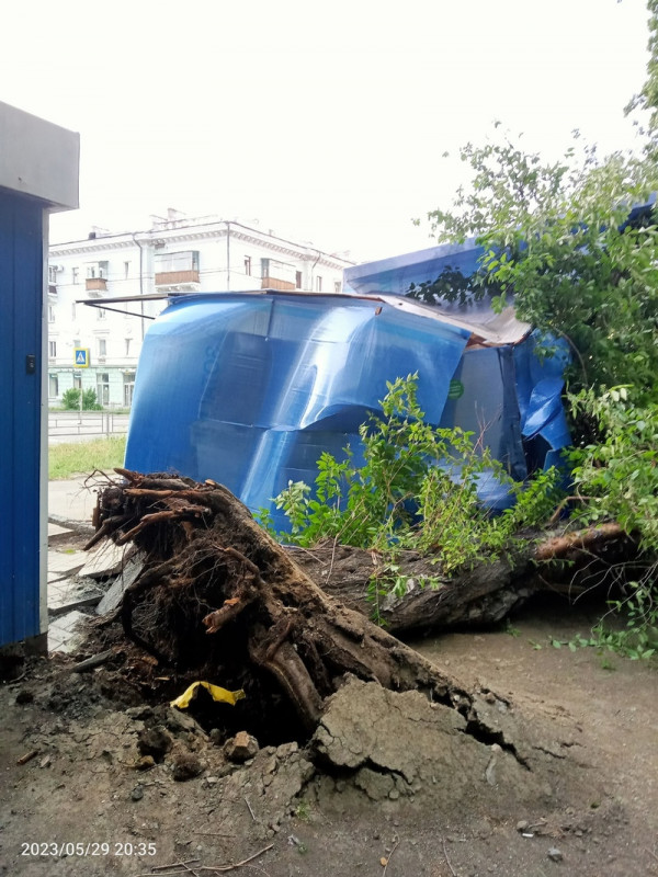 В Нижнем Тагиле шквалистый ветер повалил десятки деревьев (ВИДЕО)