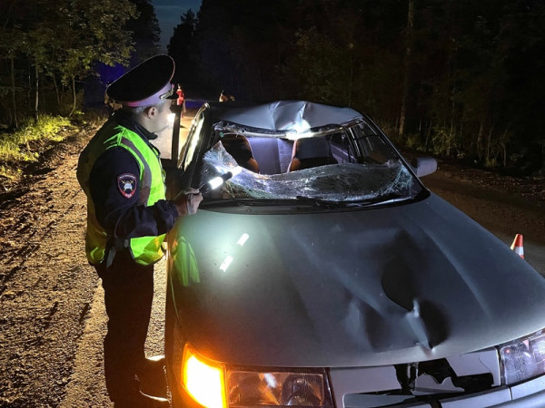 В Нижнем Тагиле нетрезвая женщина-водитель без прав насмерть сбила пешехода В Нижнем Тагиле нетрезвая женщина-водитель без прав насмерть сбила пешехода