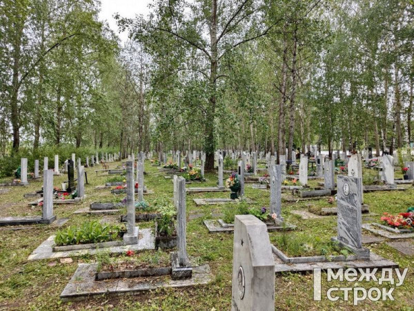 Два контракта на содержание кладбищ и парков в Нижнем Тагиле выиграла местная компания