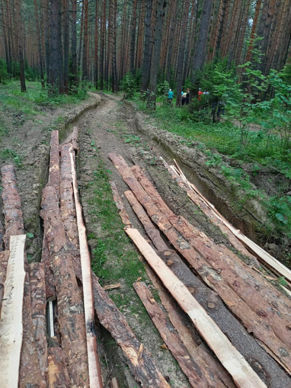 Тагильчане жалуются на беспорядок после вырубки леса компанией «Южлес» в районе Горзеленхоза