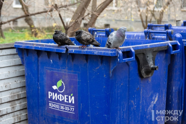 В Нижнем Тагиле обустроят 33 новых площадки для сбора мусора