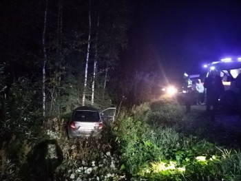 На трассе под Нижним Тагилом в ДТП с лосем погиб водитель