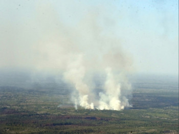 В лесах Свердловской области введён режим ЧС из-за пожаров 