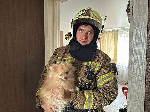 В Нижнем Тагиле пожарный спас двух собак из горящей квартиры