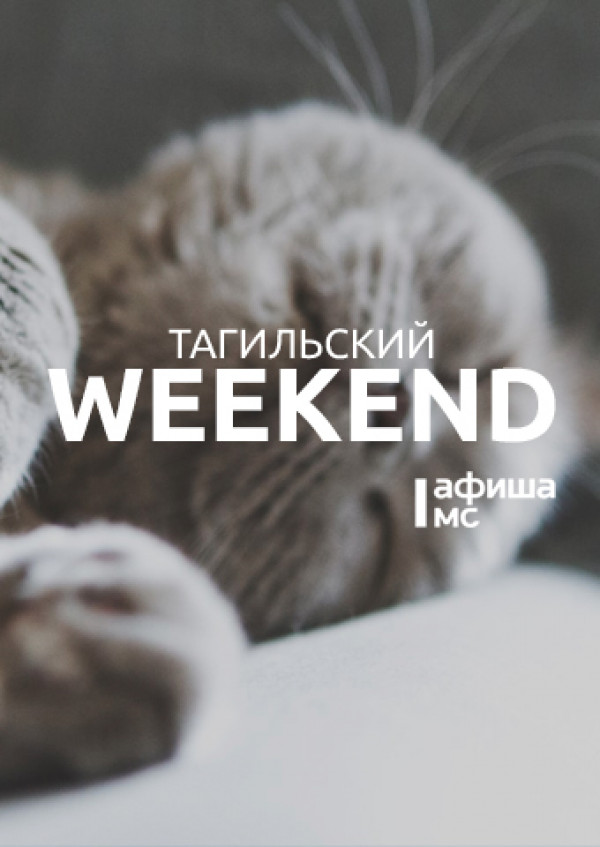 Тагильский weekend топ-7: узнать, кто диктует моду в кино, попробовать себя в роли художника, посмеяться на открытом микрофоне и посмотреть первый в сезоне хоккейный матч