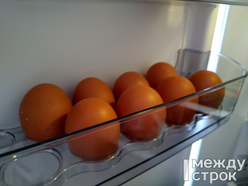 Генпрокурор РФ поручил проверить производителей яиц из-за роста цен