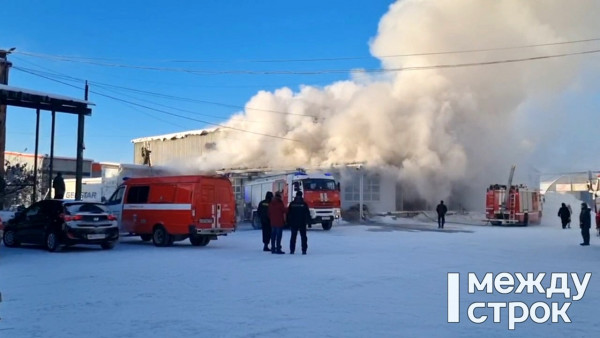 В МЧС назвали причину пожара на оптовом рынке в Нижнем Тагиле