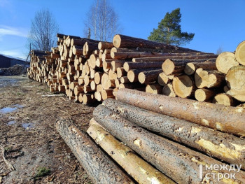 Прокуратура выявила нарушения природоохранного законодательства при заготовке леса под Нижним Тагилом 