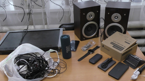 В Нижнем Тагиле полицейские задержали двух воришек, которые украли у своей знакомой электронную технику на сумму более 50 тысяч рублей