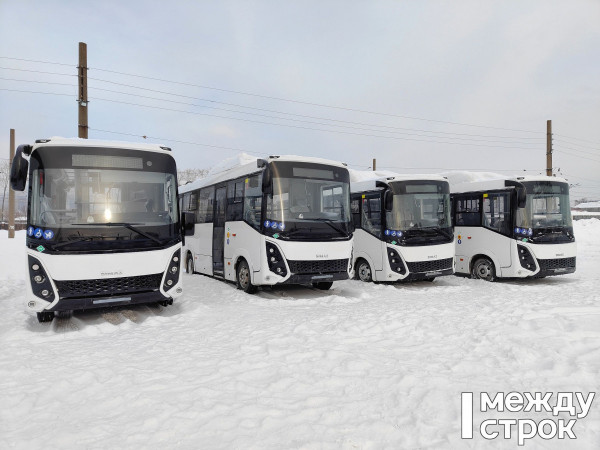 В Нижнем Тагиле с 1 марта запустят муниципальные автобусы