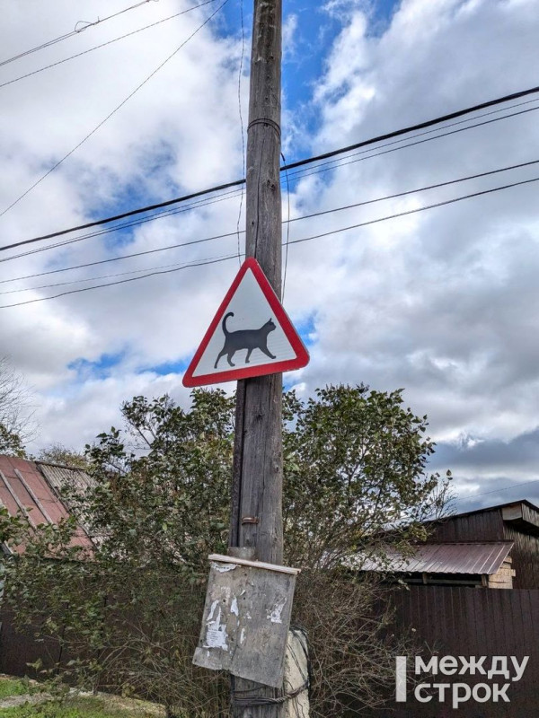 Осторожно, котики! В Нижнем Тагиле заметили необычный дорожный знак