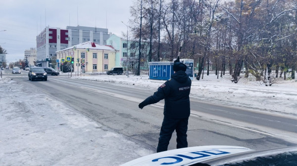 Госавтоинспекция Нижнего Тагила предупредила о массовых проверках на дорогах