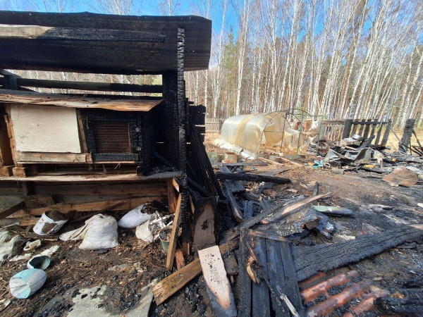 В Нижнем Тагиле в пожаре погибли 25 кур 