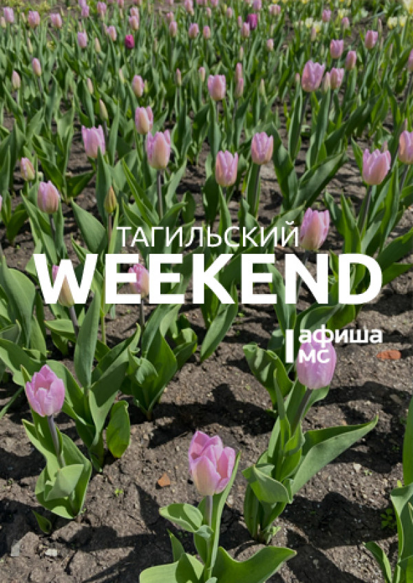 Тагильский weekend, топ-5: первый в городе фестиваль кофе, мастер-класс «Образ на школьный выпускной», концерты под открытым небом, игры с аниматорами и футбол